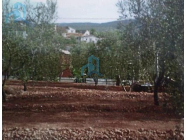 Terreno en venta en la Bisbal del Penedès photo 0