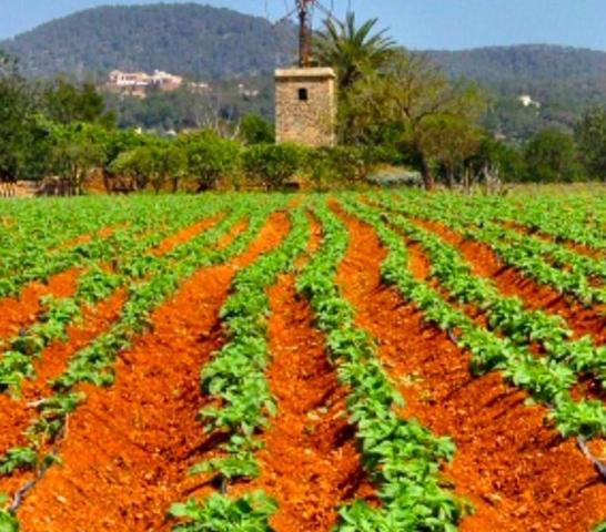 Terreno en venta en Muro, Muro photo 0