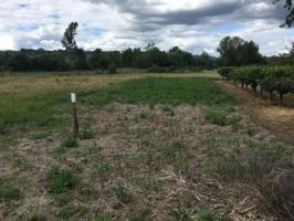 Terreno en venta en Camponaraya, Magaz de abajo photo 0