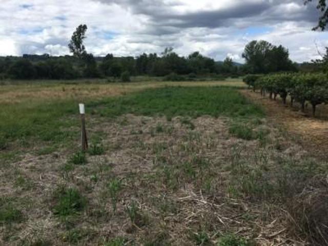 Terreno en venta en Camponaraya, Magaz de abajo photo 0