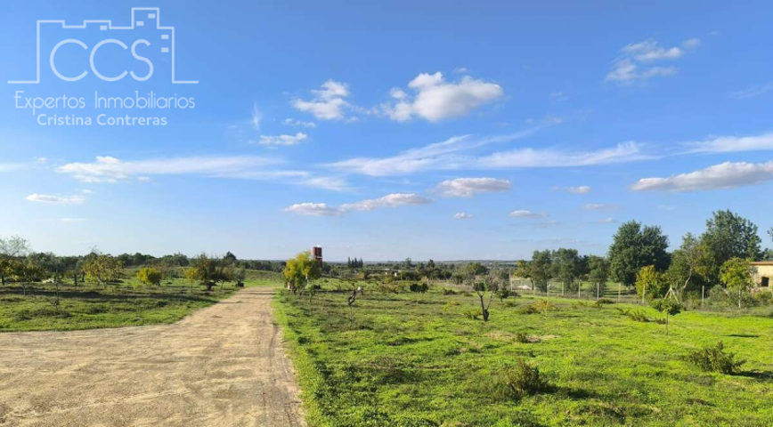 Terreno en venta en Almonte, Dehesa Del Turmal photo 0