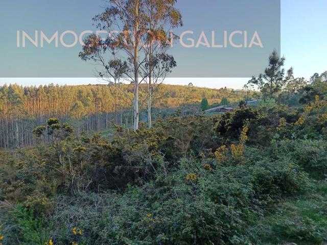 Terreno en venta en Cerceda photo 0