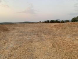 Terreno en venta en Lucena, Peñón del Grajo, 14900 photo 0