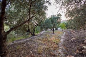 Terreno en venta en Lanjarón, Lanjarón photo 0