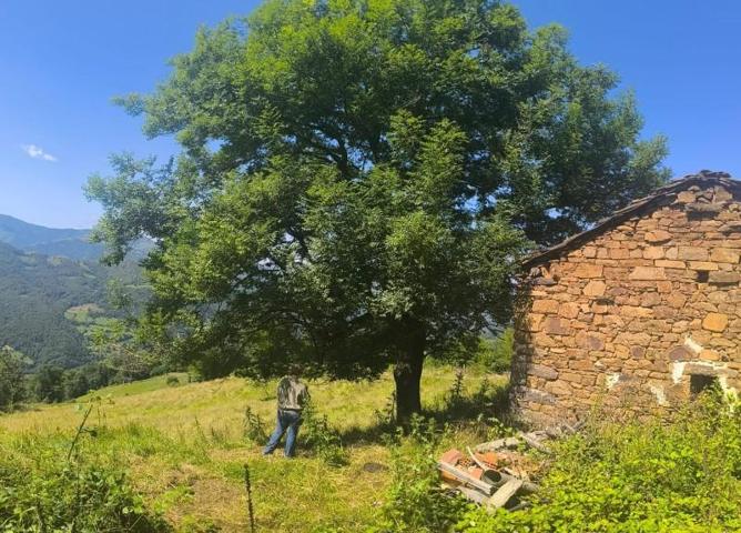 Chalet en venta en Aller, Piñeres photo 0