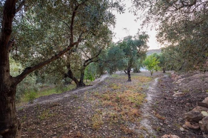 Terreno en venta en Lanjarón, Lanjarón photo 0