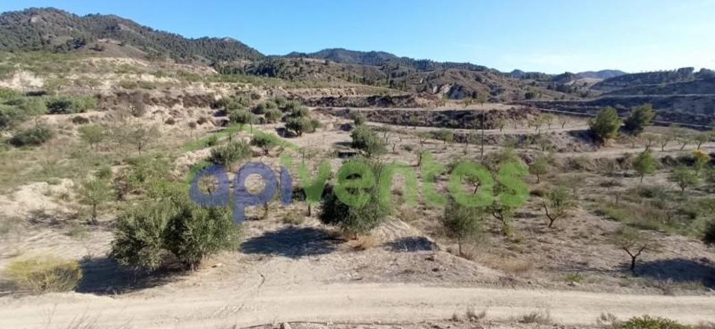Terreno en venta en Lorca, Campo López photo 0