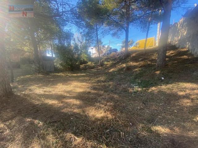 Terreno en venta en la Bisbal del Penedès photo 0