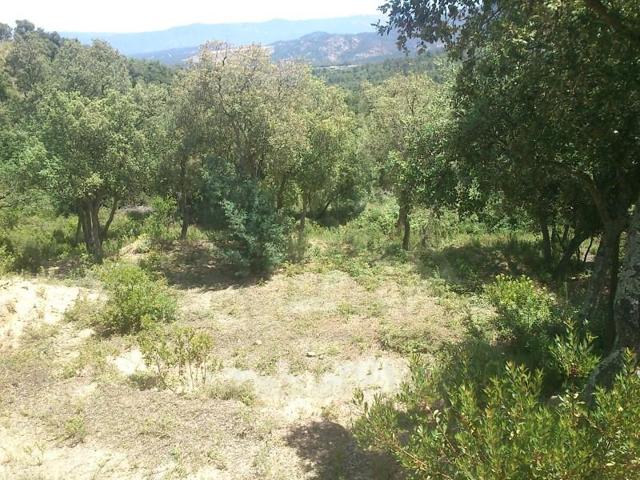 Terreno en venta en Llagostera photo 0