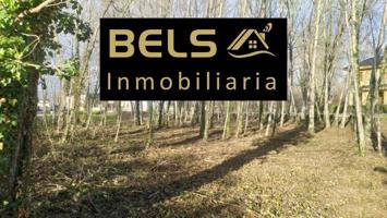 Terreno en venta en Carracedelo, Dehesas photo 0