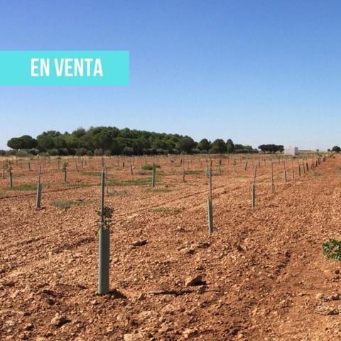 Terreno en venta en Manzanares, AFUERAS photo 0