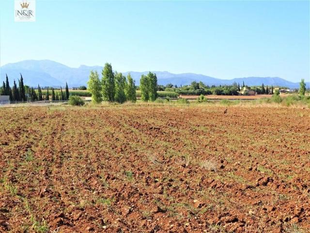 Terreno en venta en Llubí, AFUERAS DE LLUBI photo 0
