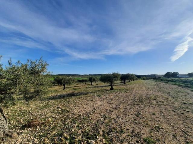Terreno en venta en Almansa, Cantoblanco photo 0