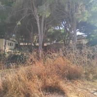 Terreno en venta en Chiclana de la Frontera, Pinar de los franceses photo 0