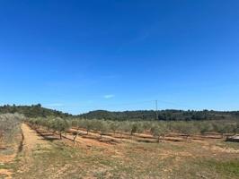 Terreno en venta en Vall d'Alba, Comunidad valenciana photo 0