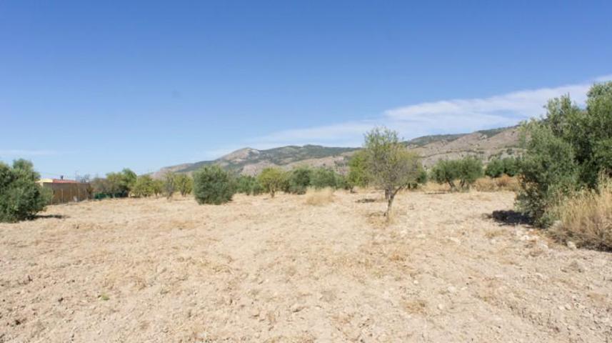 Terreno en venta en Onil, Otras photo 0