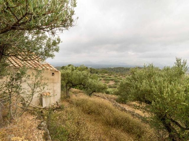 Chalet en venta en Tortosa photo 0