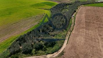 Terreno en venta en Las Cabezas de San Juan, ZONA DOÑA JUANILLA photo 0