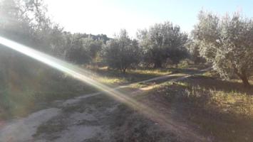 Terreno en venta en Moratalla photo 0