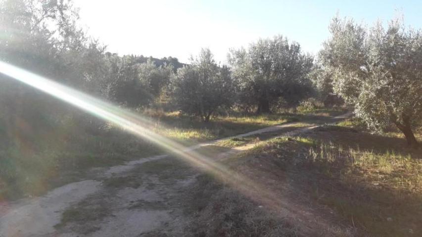 Terreno en venta en Moratalla photo 0