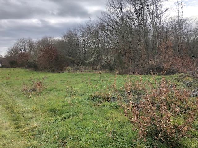 Terreno en venta en Amoeiro, Amoeiro photo 0