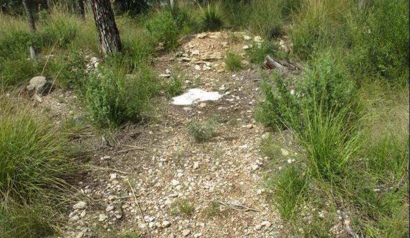 Terreno en venta en Olivella, Mas Mestre photo 0