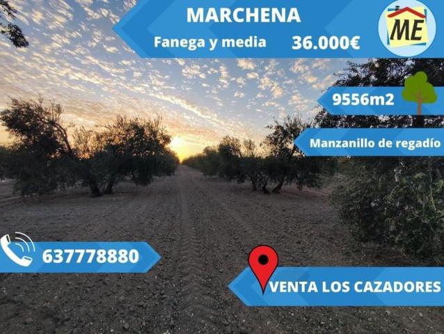 Chalet en venta en Marchena, Venta Los Cazaores photo 0