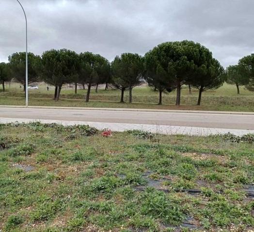 Terreno en venta en León, Eras de Renueva photo 0