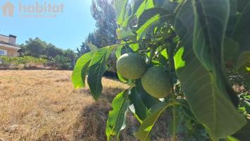 Terreno en venta en El Bruc, Montserrat park photo 0