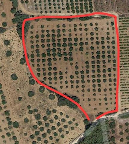 Terreno en venta en Puigpelat, Cataluna photo 0