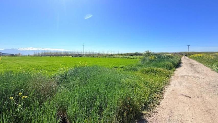 Chalet en venta en Atarfe, Poligono Industrial Los Alamos photo 0