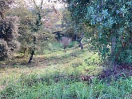 Terreno en venta en Tordera, Agora park photo 0