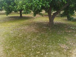 Terreno en venta en Alzira photo 0