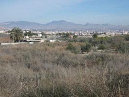 Terreno en venta en Ceuti, Ceutí photo 0