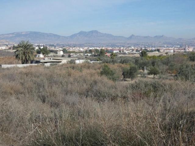 Terreno en venta en Ceuti, Ceutí photo 0