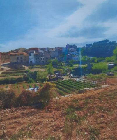 Terreno en venta en Chert, Chert - Xert photo 0