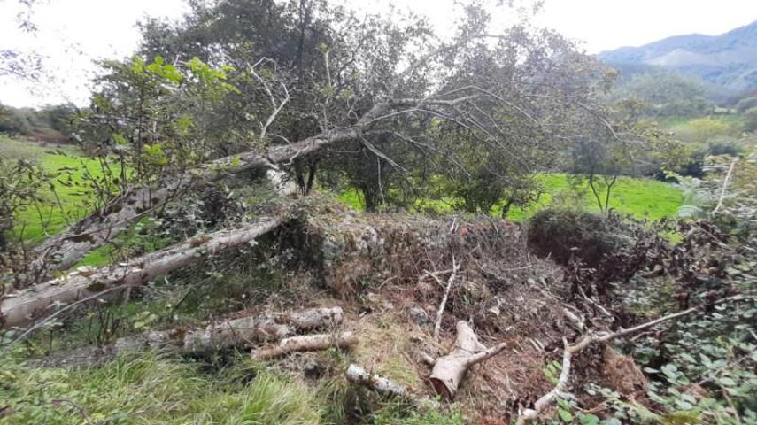 Terreno en venta en Llanes, Llanes photo 0