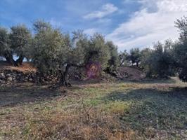 Chalet en venta en Reus, Reus photo 0