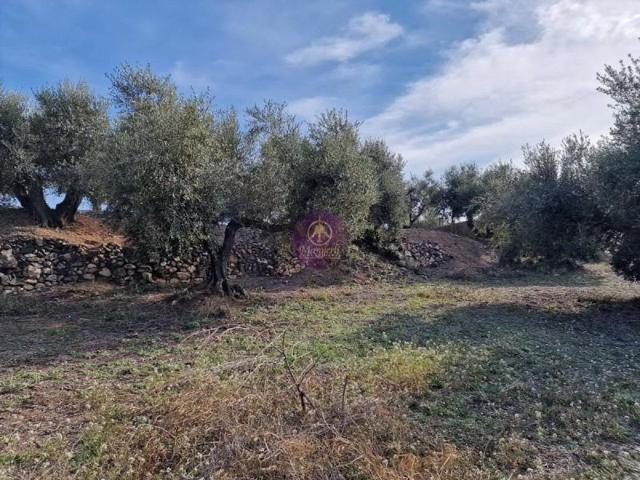 Chalet en venta en Reus, Reus photo 0