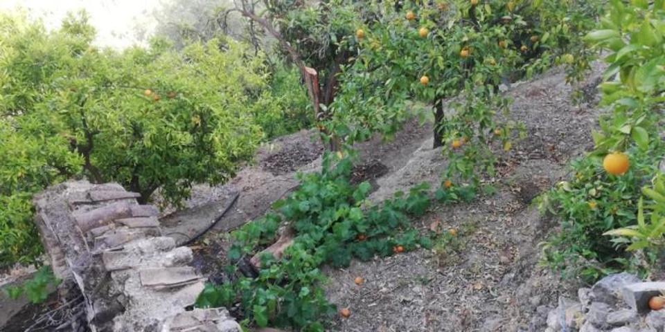 Casa con terreno en venta en Piñar photo 0