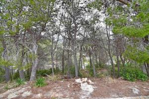 Terreno en venta en Sant Pere de Ribes, Can Pere de la Plana - Pineda Park photo 0