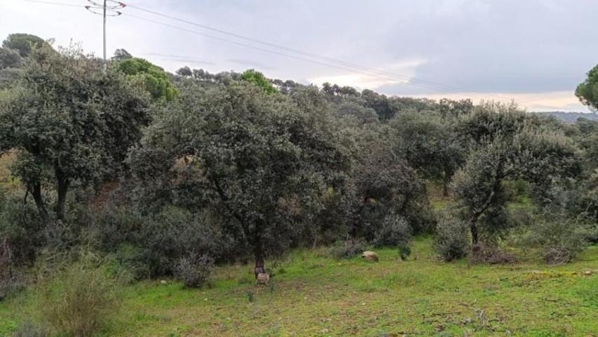 Terreno en venta en Villa del Prado photo 0