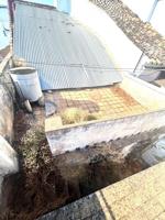 Casa en venta en Alcolea del Río, ALCOLEA DEL RÍO photo 0