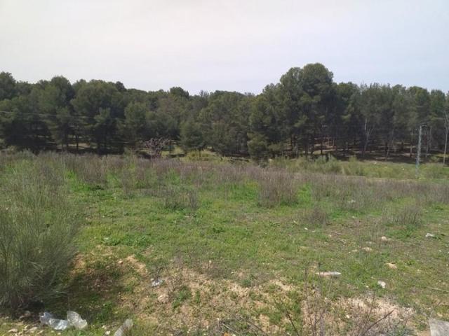 Terreno en venta en Láchar, ENTRADA DE LACHAR photo 0