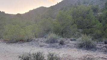 Terreno en venta en Monovar-Monover, Monovar photo 0