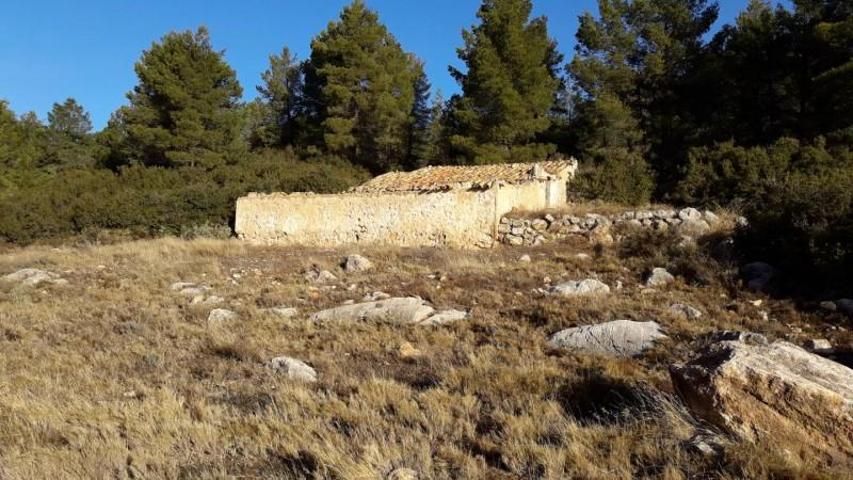 Terreno en venta en Moratalla photo 0