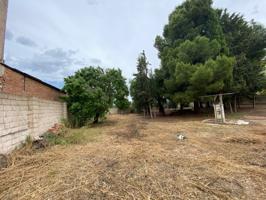 Terreno en venta en Hellín, EL PINO photo 0