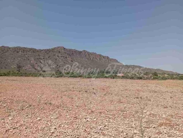 Terreno en venta en Yecla photo 0