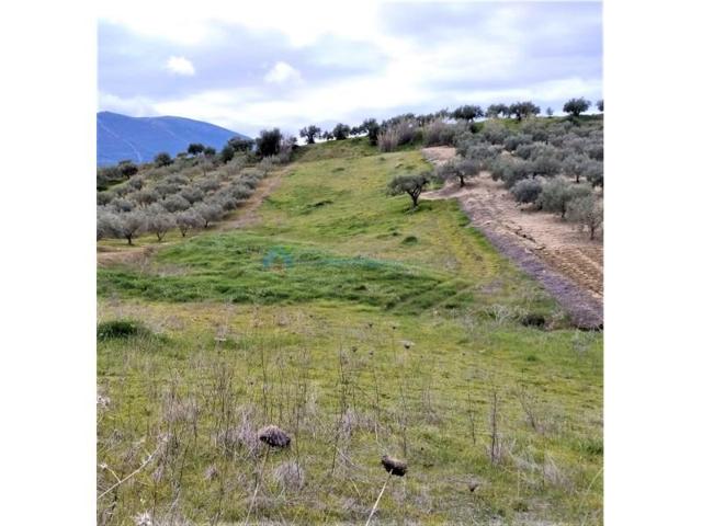 Terreno en venta en Alhaurín el Grande photo 0