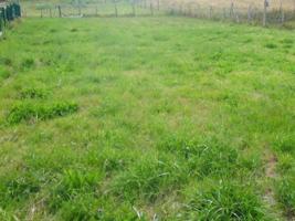 Terreno en venta en Siero, Siero photo 0